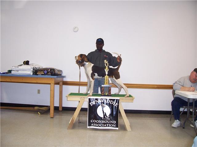 2008rqetreeingcontestwinner.jpg